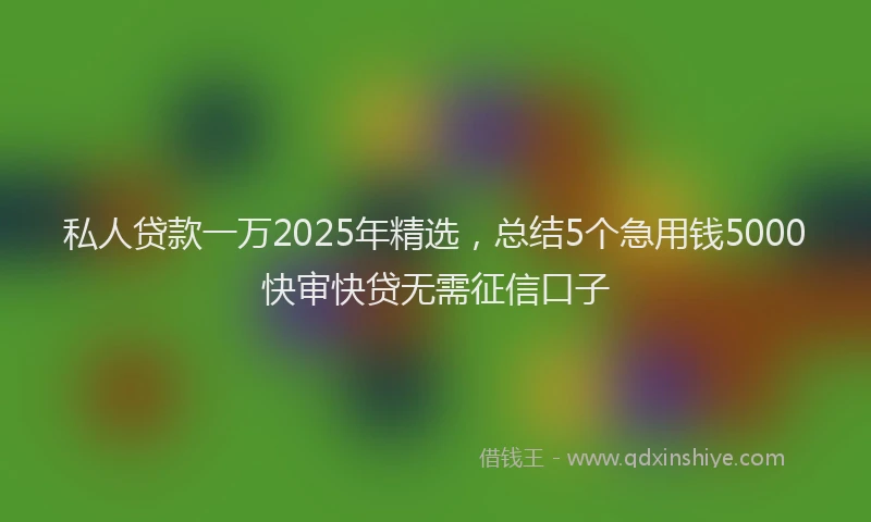 私人贷款一万2025年精选，总结5个急用钱5000快审快贷无需征信口子