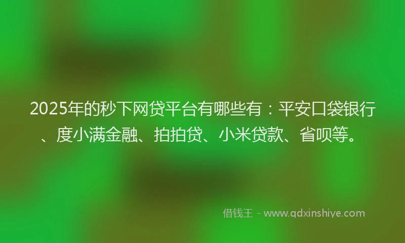 2025年的秒下网贷平台有哪些有：平安口袋银行、度小满金融、拍拍贷、小米贷款、省呗等。