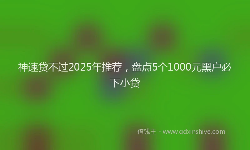 神速贷不过2025年推荐，盘点5个1000元黑户必下小贷