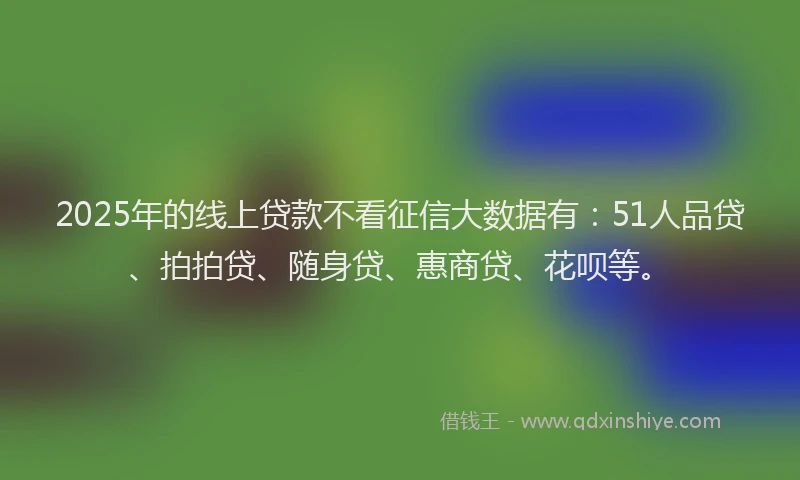 2025年的线上贷款不看征信大数据有：51人品贷、拍拍贷、随身贷、惠商贷、花呗等。
