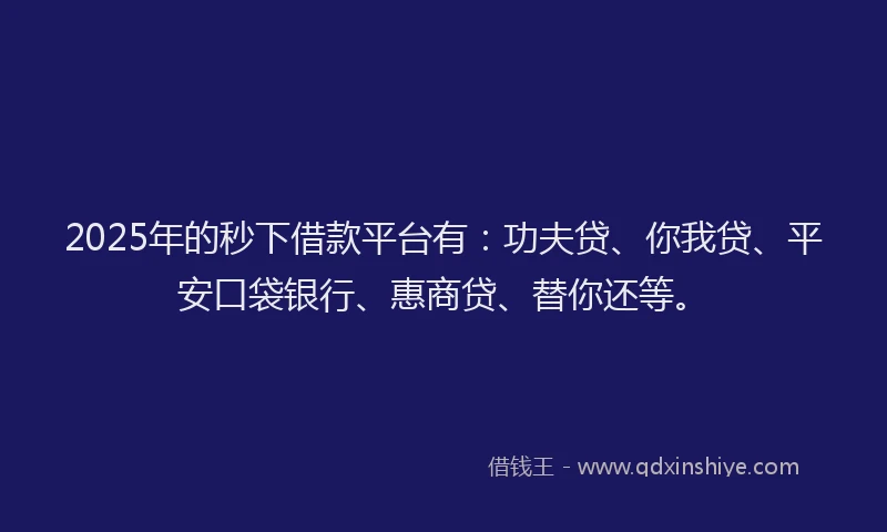 2025年的秒下借款平台有：功夫贷、你我贷、平安口袋银行、惠商贷、替你还等。