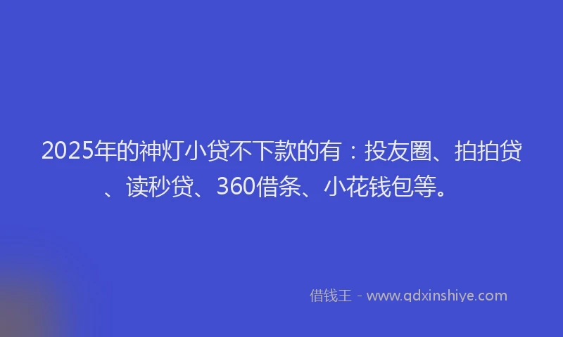 2025年的神灯小贷不下款的有：投友圈、拍拍贷、读秒贷、360借条、小花钱包等。