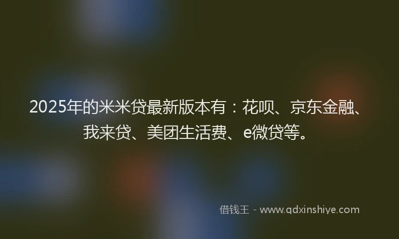 2025年的米米贷最新版本有：花呗、京东金融、我来贷、美团生活费、e微贷等。