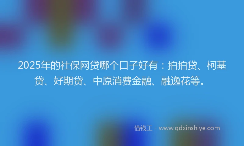 2025年的社保网贷哪个口子好有：拍拍贷、柯基贷、好期贷、中原消费金融、融逸花等。