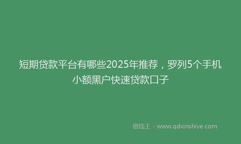 短期贷款平台有哪些2025年推荐，罗列5个手机小额黑户快速贷款口子