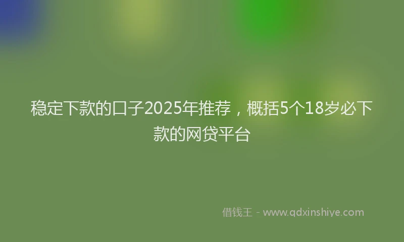 稳定下款的口子2025年推荐，概括5个18岁必下款的网贷平台