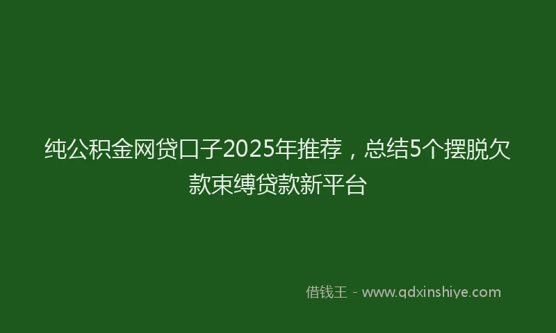 纯公积金网贷口子2025年推荐，总结5个摆脱欠款束缚贷款新平台