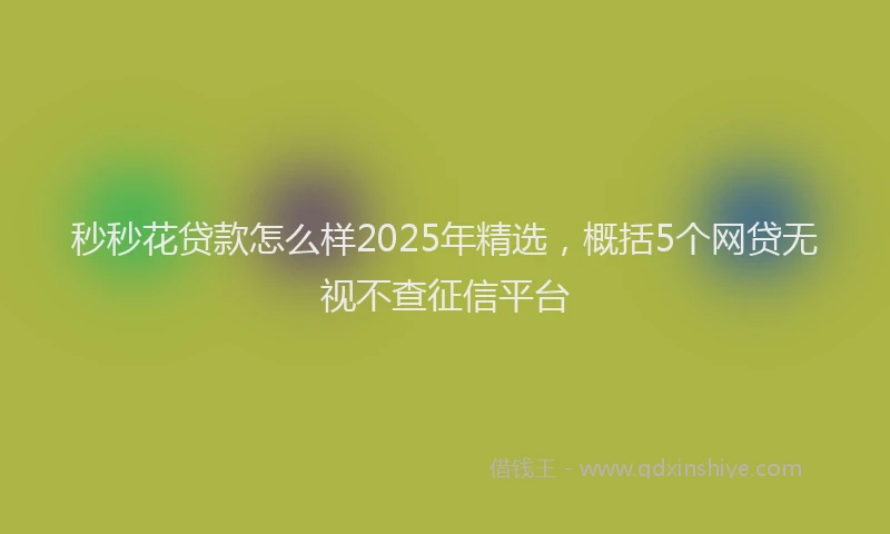 秒秒花贷款怎么样2025年精选，概括5个网贷无视不查征信平台