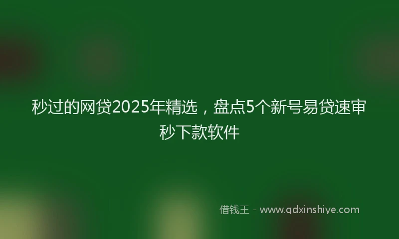 秒过的网贷2025年精选，盘点5个新号易贷速审秒下款软件