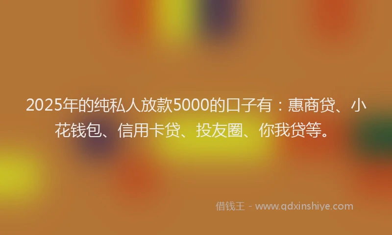 2025年的纯私人放款5000的口子有：惠商贷、小花钱包、信用卡贷、投友圈、你我贷等。