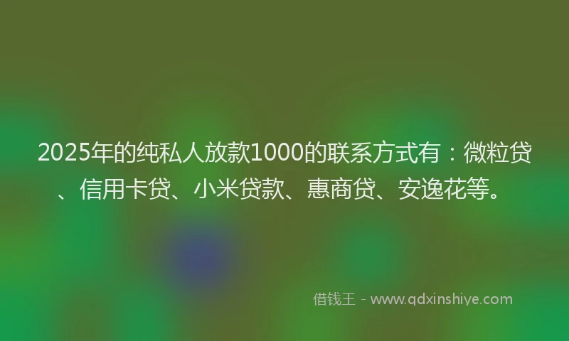 2025年的纯私人放款1000的联系方式有：微粒贷、信用卡贷、小米贷款、惠商贷、安逸花等。