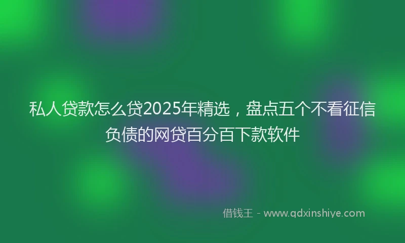 私人贷款怎么贷2025年精选，盘点五个不看征信负债的网贷百分百下款软件
