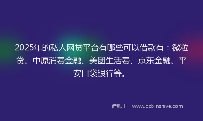 2025年的私人网贷平台有哪些可以借款有：微粒贷、中原消费金融、美团生活费、京东金融、平安口袋银行等。