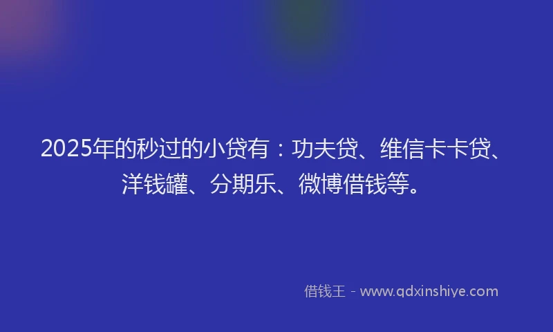 2025年的秒过的小贷有：功夫贷、维信卡卡贷、洋钱罐、分期乐、微博借钱等。