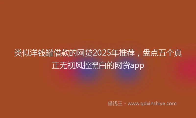 类似洋钱罐借款的网贷2025年推荐，盘点五个真正无视风控黑白的网贷app