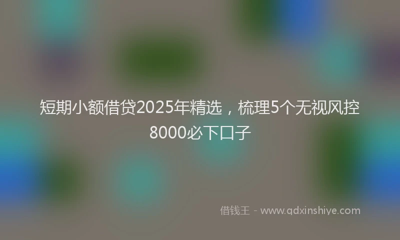 短期小额借贷2025年精选，梳理5个无视风控8000必下口子