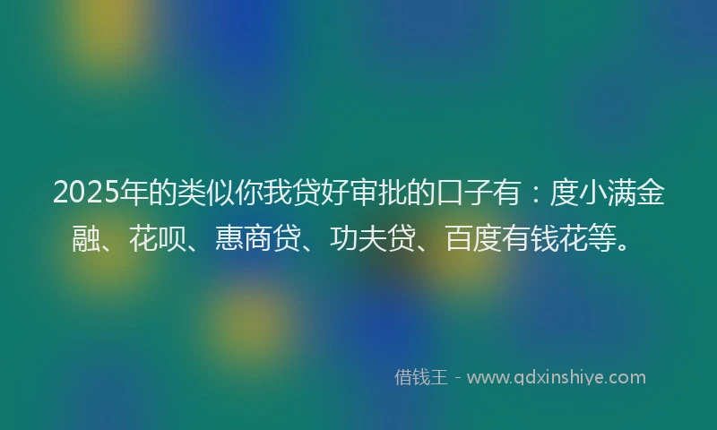 2025年的类似你我贷好审批的口子有：度小满金融、花呗、惠商贷、功夫贷、百度有钱花等。