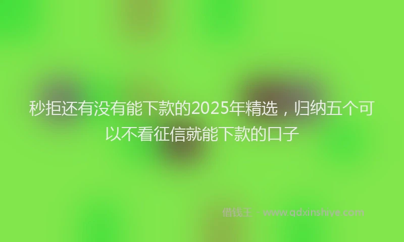 秒拒还有没有能下款的2025年精选，归纳五个可以不看征信就能下款的口子