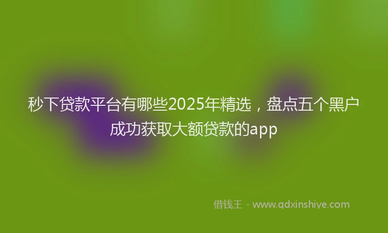 秒下贷款平台有哪些2025年精选，盘点五个黑户成功获取大额贷款的app