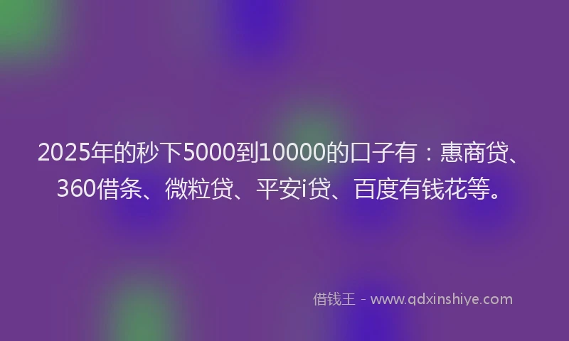 2025年的秒下5000到10000的口子有：惠商贷、360借条、微粒贷、平安i贷、百度有钱花等。