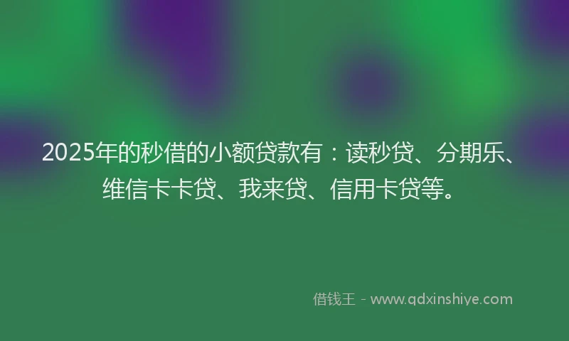 2025年的秒借的小额贷款有：读秒贷、分期乐、维信卡卡贷、我来贷、信用卡贷等。