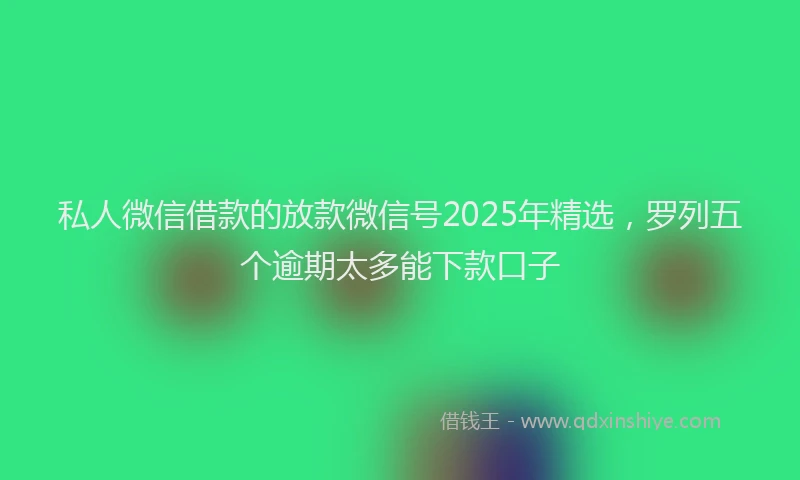 私人微信借款的放款微信号2025年精选，罗列五个逾期太多能下款口子