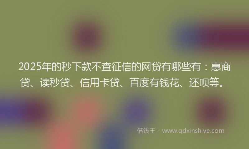 2025年的秒下款不查征信的网贷有哪些有：惠商贷、读秒贷、信用卡贷、百度有钱花、还呗等。