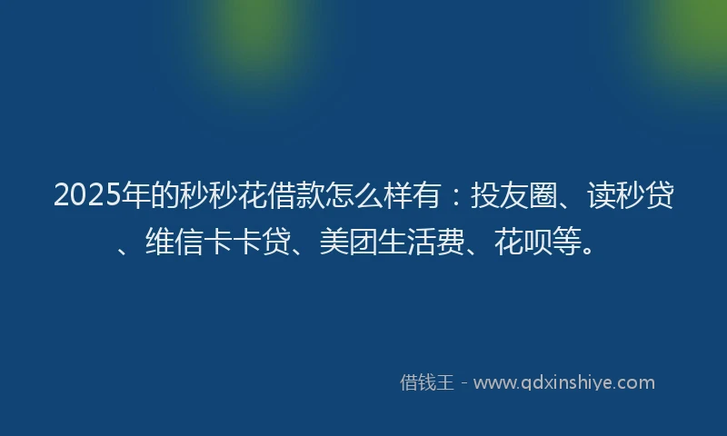 2025年的秒秒花借款怎么样有：投友圈、读秒贷、维信卡卡贷、美团生活费、花呗等。