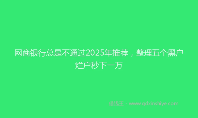 网商银行总是不通过2025年推荐，整理五个黑户烂户秒下一万