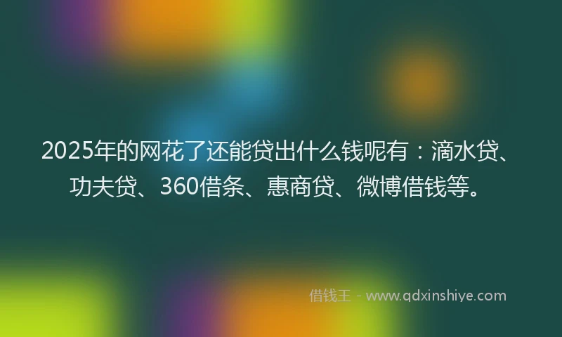 2025年的网花了还能贷出什么钱呢有：滴水贷、功夫贷、360借条、惠商贷、微博借钱等。
