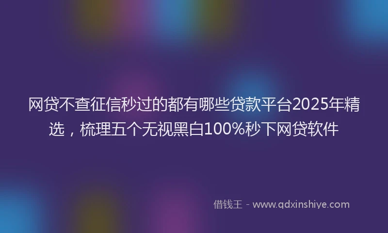 网贷不查征信秒过的都有哪些贷款平台2025年精选，梳理五个无视黑白100%秒下网贷软件