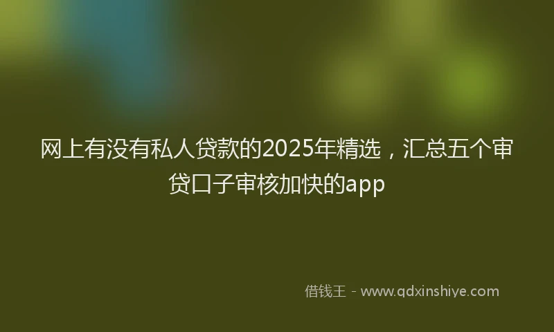 网上有没有私人贷款的2025年精选，汇总五个审贷口子审核加快的app