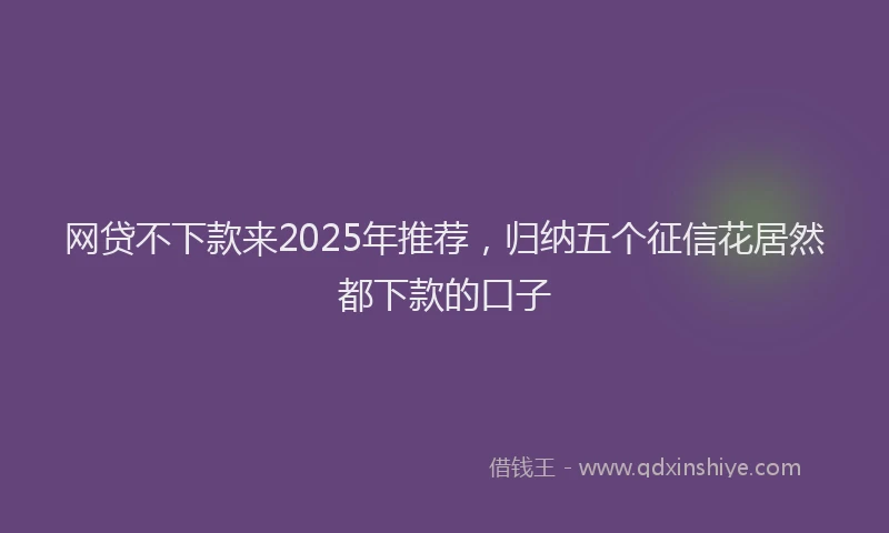 网贷不下款来2025年推荐，归纳五个征信花居然都下款的口子