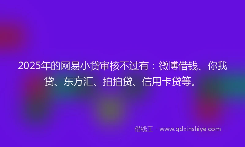 2025年的网易小贷审核不过有：微博借钱、你我贷、东方汇、拍拍贷、信用卡贷等。