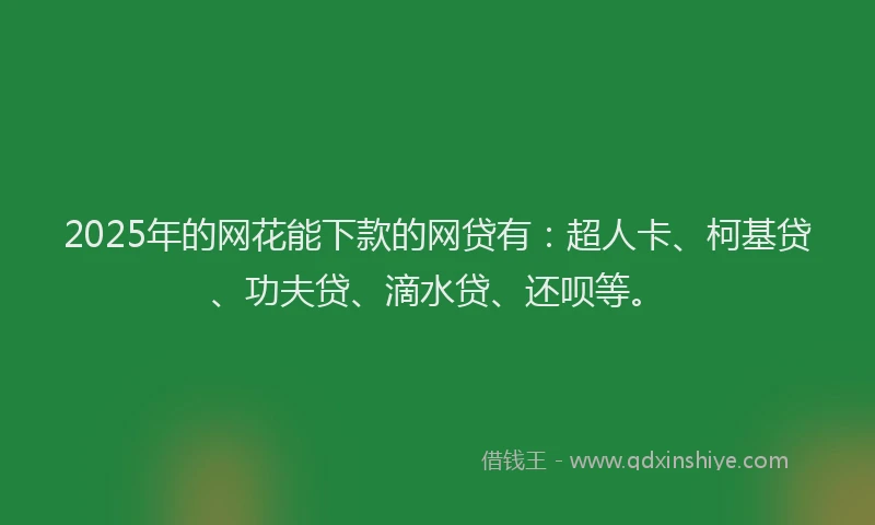 2025年的网花能下款的网贷有：超人卡、柯基贷、功夫贷、滴水贷、还呗等。
