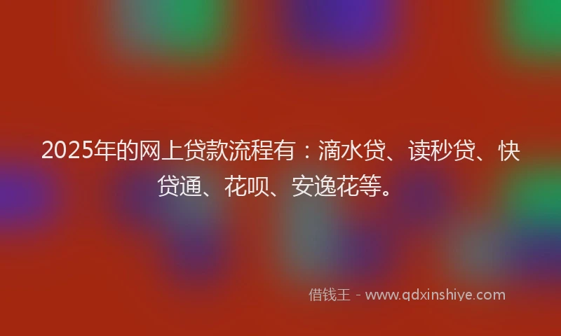 2025年的网上贷款流程有：滴水贷、读秒贷、快贷通、花呗、安逸花等。