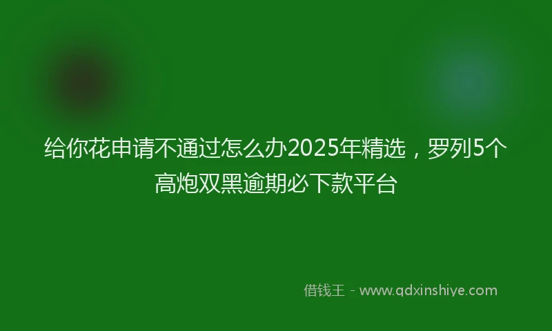 给你花申请不通过怎么办2025年精选，罗列5个高炮双黑逾期必下款平台