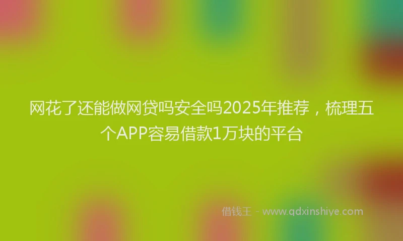 网花了还能做网贷吗安全吗2025年推荐，梳理五个APP容易借款1万块的平台