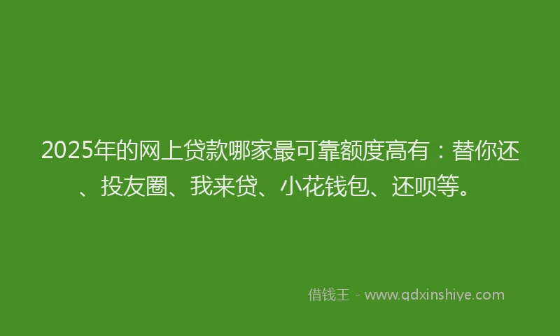 2025年的网上贷款哪家最可靠额度高有：替你还、投友圈、我来贷、小花钱包、还呗等。
