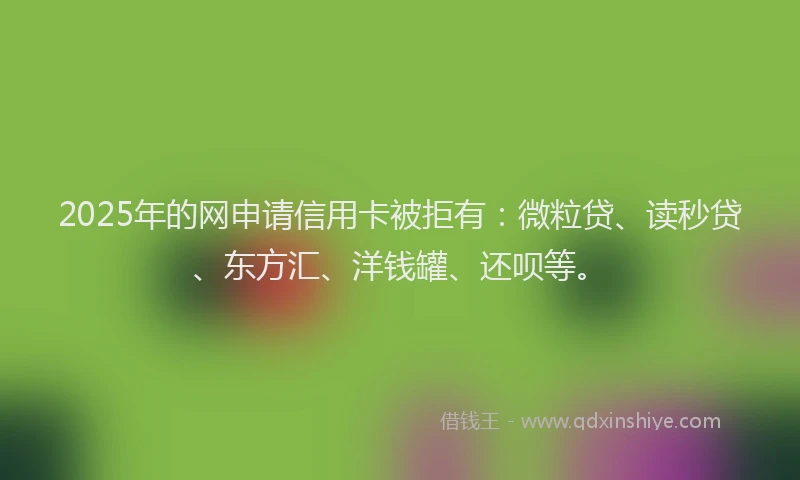 2025年的网申请信用卡被拒有：微粒贷、读秒贷、东方汇、洋钱罐、还呗等。