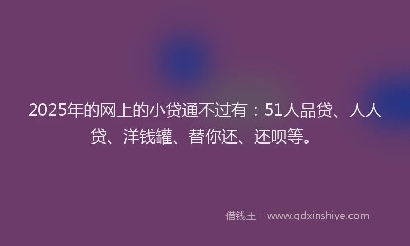 2025年的网上的小贷通不过有：51人品贷、人人贷、洋钱罐、替你还、还呗等。