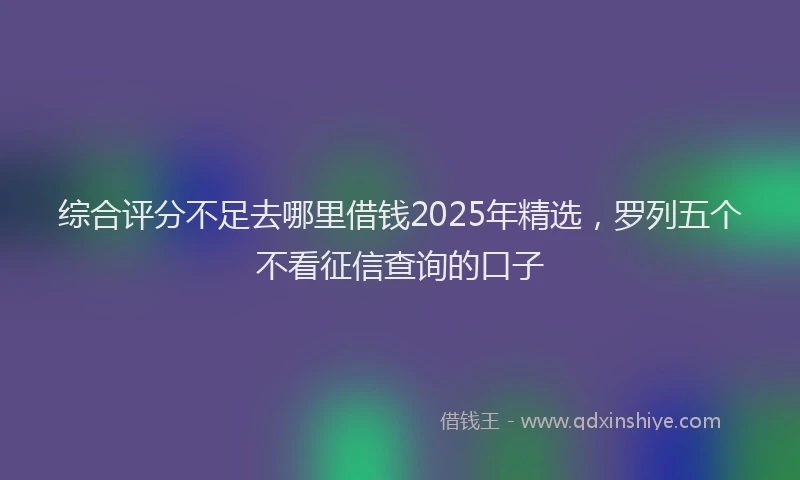 综合评分不足去哪里借钱2025年精选，罗列五个不看征信查询的口子