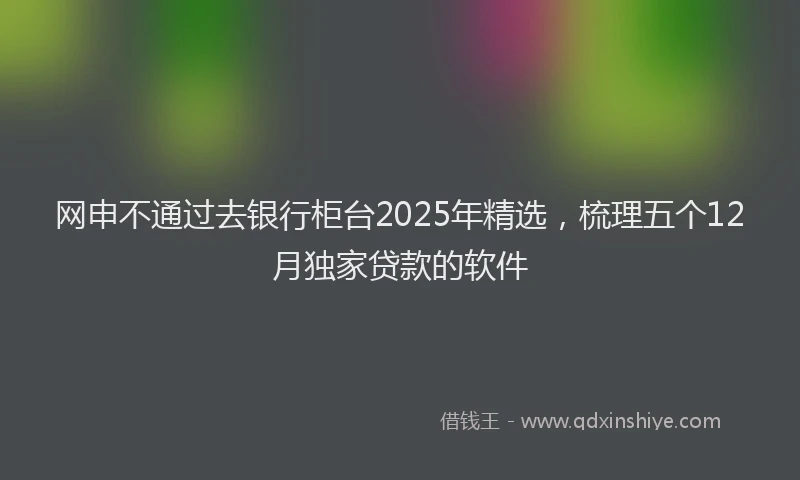 网申不通过去银行柜台2025年精选，梳理五个12月独家贷款的软件