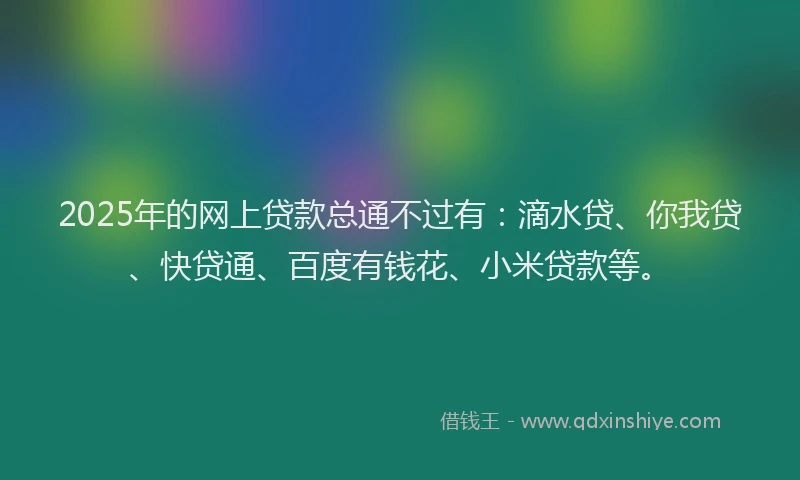 2025年的网上贷款总通不过有：滴水贷、你我贷、快贷通、百度有钱花、小米贷款等。