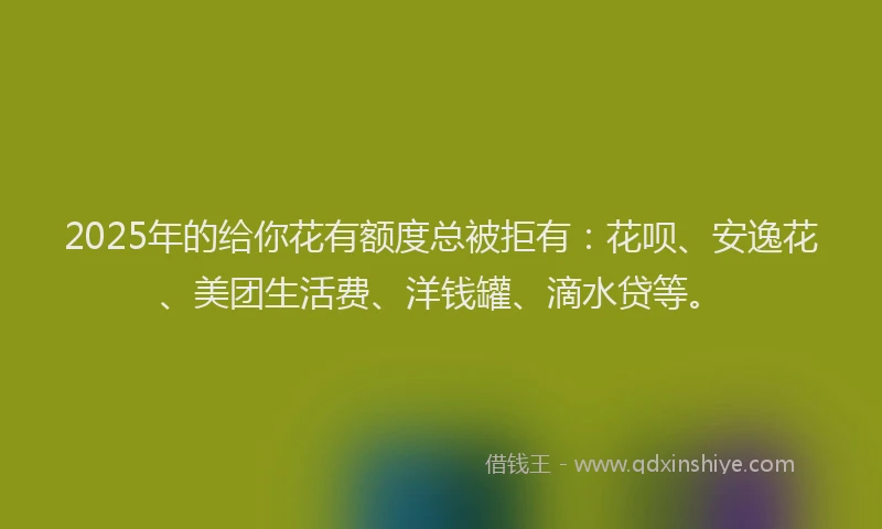 2025年的给你花有额度总被拒有：花呗、安逸花、美团生活费、洋钱罐、滴水贷等。