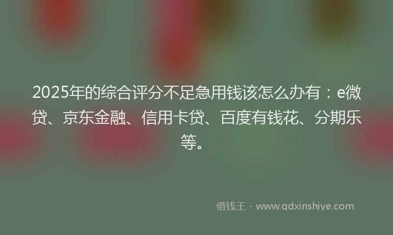 2025年的综合评分不足急用钱该怎么办有：e微贷、京东金融、信用卡贷、百度有钱花、分期乐等。