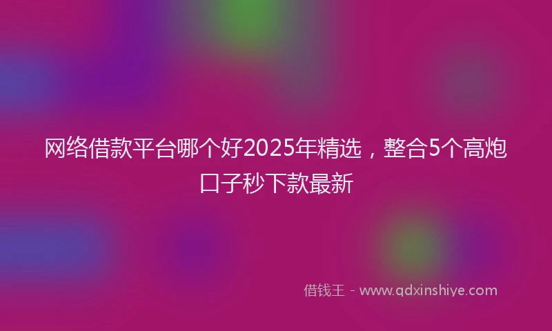 网络借款平台哪个好2025年精选，整合5个高炮口子秒下款最新
