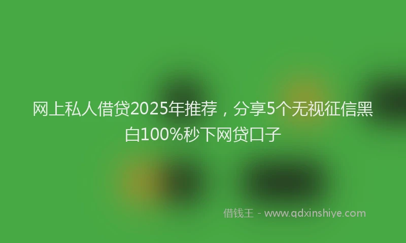 网上私人借贷2025年推荐，分享5个无视征信黑白100%秒下网贷口子
