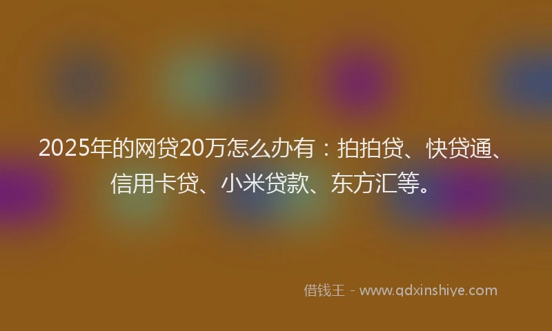 2025年的网贷20万怎么办有：拍拍贷、快贷通、信用卡贷、小米贷款、东方汇等。