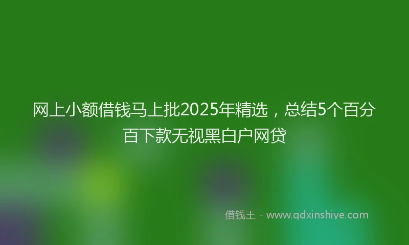 网上小额借钱马上批2025年精选，总结5个百分百下款无视黑白户网贷